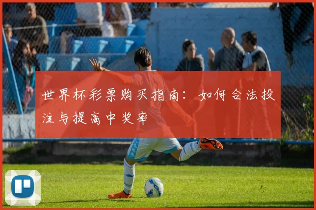 世界杯彩票购买指南：如何合法投注与提高中奖率