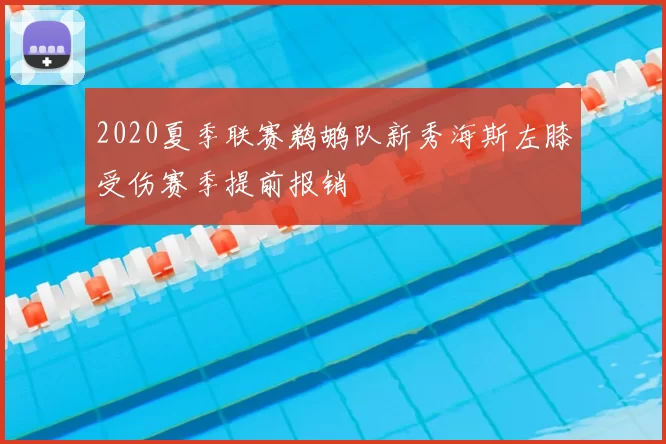 2020夏季联赛鹈鹕队新秀海斯左膝受伤赛季提前报销