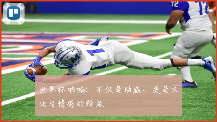 世界杯呐喊：不仅是助威，更是文化与情感的释放
